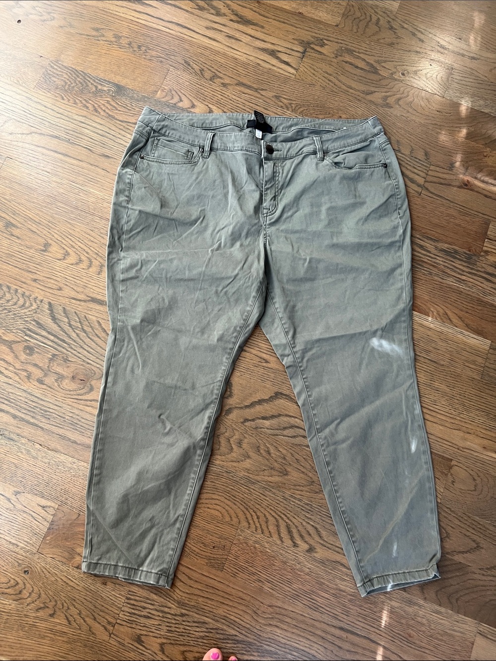 Lane Bryant Olive Green Chino Pants